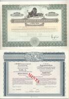 1990-1994. 5 darabos magyar részvény tétel: "Fotex", "Első Pesti Hengermalom", &...