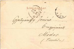 1899 (Vorläufer) Borszék, Borsec; Főkút, Lázár fürdő, Kossuth kút, Villa csoport / spa, spring sourc...