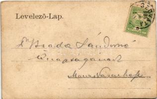 1906 Szováta-fürdő, Baile Sovata; Kőszeghi Sándor nyaralója / villa, spa (EK)