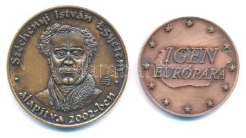 Lebó Ferenc (1960-) "Széchenyi István Egyetem" kétoldalas bronz emlékérem (42,5mm) + 2003. "Igen Európára" kétoldalas bronz emlékérem (35mm) T:1-