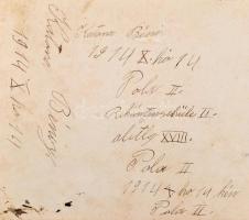 1914 Póla, a Cs. és Kir. Haditengerészet (K.u.K. Kriegsmarine) kadétiskolájának csoportképe, nagymér...