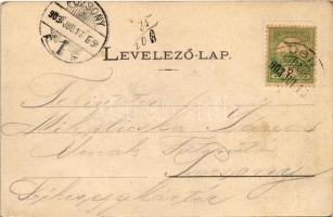 1903 Tusnádfürdő, Baile Tusnad; Gyógyterem. Brunner C. kiadása / spa, bath (fl)