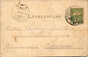 1902 Tusnádfürdő, Baile Tusnad; látkép / general view, spa (EK)