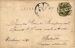 1902 Déva, látkép, vár / castle, general view. Péntek E. photo