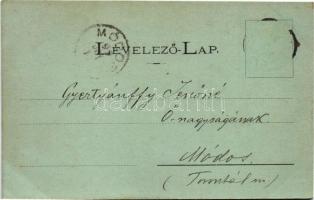 1899 (Vorläufer) Nagyenyed, Aiud; részletek / multi-view postcard. Art Nouveau, floral