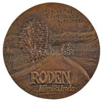 2006. Roden Mérnöki Iroda, Az alapítás 15. évfordulója alkalmából - Alapítva 1991 öntött bronz plakett, eredeti tokban (96mm) T:1