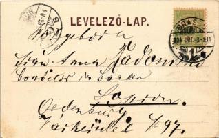 1904 Brassó, Kronstadt, Brasov; Glückliche Ankunft in Kronstadt / utca, Király Lajos, Goldstein, Ore...