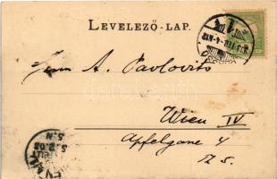 1903 Brassó, Kronstadt, Brasov; Piac, J. L. & A. Hesshaimer, Hornung, Nicolae Dusoiu és Wilhelm ...