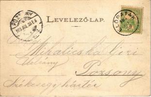 1903 Előpatak, Valcele; Fősétány, Gidófalvi és Goldstein villa. Benkő Mór kiadása / spa, promenade, ...