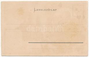 1854-1904 Szatmárnémeti, Satu Mare; Dilectione et pace / Római katolikus székesegyház, Meszlényi Gyu...