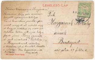 1909 Nagykároly, Carei; gimnázium. Szabó József kiadása / grammar school. Art Nouveau, floral (szaka...