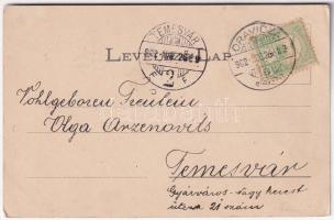 1902 Oravica, Oravita; Gruss aus der Sommerfrische Bányavölgy / nyaralók és Ferenc Udvar. Huszarek Á...