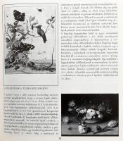 1996-2001 Képeslap / Képeslevelezőlap, 3 db képeslapgyűjtőknek szóló kiadvány