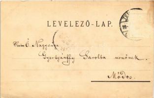 1899 (Vorläufer) Temesvár, Timisoara; Józsefvárosi zárdák és templom. Kossak József udvari fényképés...