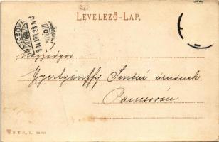 1904 Temesvár, Timisoara; Jenő herceg tér / Prinz Eugenplatz / square (EK)