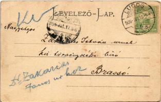 1906 Lugos, Lugoj; Vármegyeház. Auspitz Adolf kiadása. Szecessziós magyar zászlós keret / county hal...