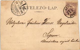 1900 Herkulesfürdő, Baile Herculane; Curhaus, Curpark, Rudolfshof / Gyógyterem és park, Rezső udvar ...