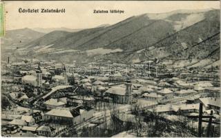 1911 Zalatna, Zlatna; látkép télen. Popeszku Bazil kiadása. Remethey János fényképész felvétele / general view in winter (EK)