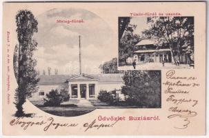 1902 Buziás, Meleg és Tükör fürdő, uszoda. Kossak Kózsef cs. és kir. udv. fényképész / spas and swimming pool