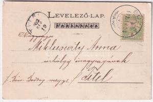 1902 Buziás, Meleg és Tükör fürdő, uszoda. Kossak Kózsef cs. és kir. udv. fényképész / spas and swim...