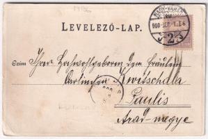 1900 Nagyvárad, Oradea; Szent László szobor. Szecessziós fémes hatású fóliás képeslap, Sonnenfeld Ad...