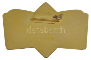 2009. "Néppel Tűzön Vizen Át" festett jelvény, az 1956-os Nemzetőr jelvény jelzett, modern...