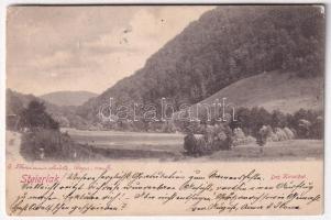1901 Stájerlak, Steierlak, Stájerlakanina, Steierdorf, Anina; Das Kirsethal / völgy / valley (EK)