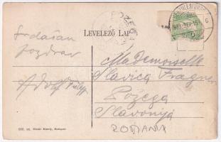 1908 Herkulesfürdő, Baile Herculane; Erzsébet nyaraló. Divald Károly 900. / Villa Elisabeth. Art Nou...