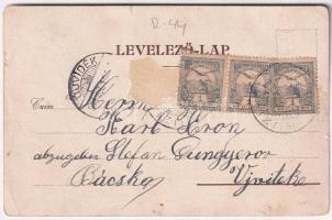 1901 Buziás, Nagy szálloda. Herrling Károly kiadása / Grand Hotel (Rb)