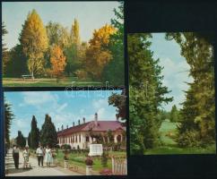 A szarvasi arborétum. Összeáll.: Baucker Alajos és Gruber Ferenc. Bp., 1962, Mezőgazdasági Kiadó. Fe...