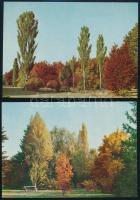 A szarvasi arborétum. Összeáll.: Baucker Alajos és Gruber Ferenc. Bp., 1962, Mezőgazdasági Kiadó. Fe...