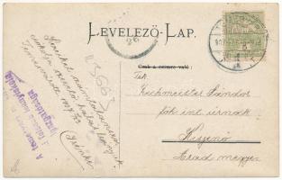 1907 Temesvár, Timisoara; Jégpálya magyar címerekkel és zászlókkal, a felsőbb leány iskola tanulói k...