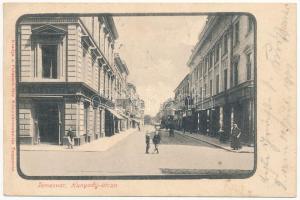 1901 Temesvár, Timisoara; Hunyady utca, üzletek. Polatsek kiadása / street, shops (EK)