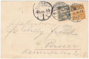 1901 Temesvár, Timisoara; Hunyady utca, üzletek. Polatsek kiadása / street, shops (EK)