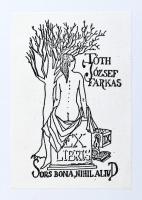 Dezső Lipót: Magyar hazám. Három cserkész barangolása Magyarországon. A magyar tanulók számára írta ...