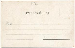 Lippa, Lipova; Tűzoltótorony, utca, üzlet. Gregor Fischer kiadása / fire tower, street view, shop (E...