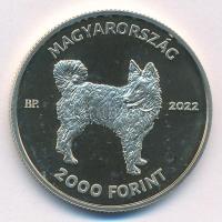 2022. 2000Ft Cu-Ni-Zn "Mudi" kapszulában T:P