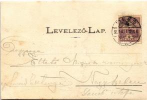 1901 Dés, Dej; Óvári torony, Voith palota, Rehák, Décsey és Szilágyi üzlete, M. kir. törvényház / to...