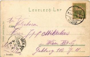 1905 Dés, Dej; Szent Ferenc-rendiek palotája, Gálócsi Samu üzlete és saját kiadása / Franciscan pala...