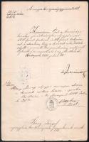 1880 Pauler Tivadar miniszter, jogász által aláírt kinevezés, okirat Bary József részére