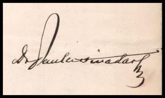 1880 Pauler Tivadar miniszter, jogász által aláírt kinevezés, okirat Bary József részére