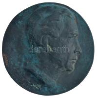 DN "Jobbra néző férfi portré" egyoldalas bronz emlékérem feloldatlan jelzéssel (106mm) T:1- patina