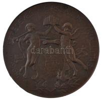 Beck Ötvös Fülöp (1873-1945) 1896. "1896-iki EZREDÉVES ORSZÁGOS KIÁLLÍTÁS / KIÁLLÍTÁSI ÉREM AZ ...