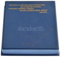 Szabó Iván (1913-1998) 1972. "Györffy István Kollégium - NÉKOSZ - XXX" kétoldalas bronz em...