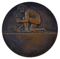 Franciaország ~1900. "FLORE" kétoldalas bronz emlékérem, peremen "BRONZE" fémjel...