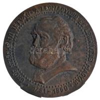 Buday Miklós 1991. "Széchenyi István a legnagyobb és leghívebb magyar / Si deus pro nobis quis contra nos" kétoldalas bronz emlékérem (120mm) T:1- alján illesztésnyomok, patina