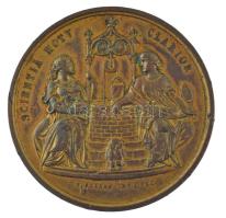 Wenzel Seidan (1817-1870) 1865. "Pozsony Szabad Királyi Város - A Magyar Orvosok és Természetvi...