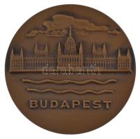 DN Budapest egyoldalas bronz emlékérem (70mm) T:1-