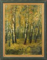 Mednyánszky jelzéssel: Erdő. Olaj, vászon, keretben, 37,5x28 cm