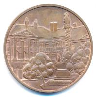 Bogár Lívia (1957-) 1984. "1869 - Soproni Városszépítő Egyesület" kétoldalas bronz emlékér...